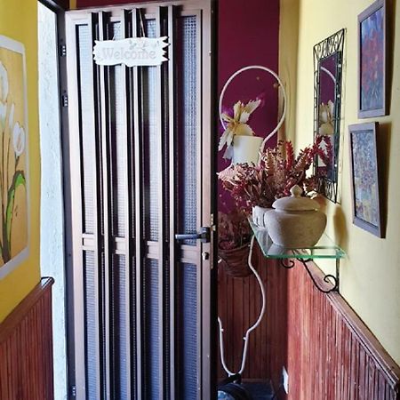 Villa Cateyma Icod 伊科德·德·洛斯·维诺斯 外观 照片
