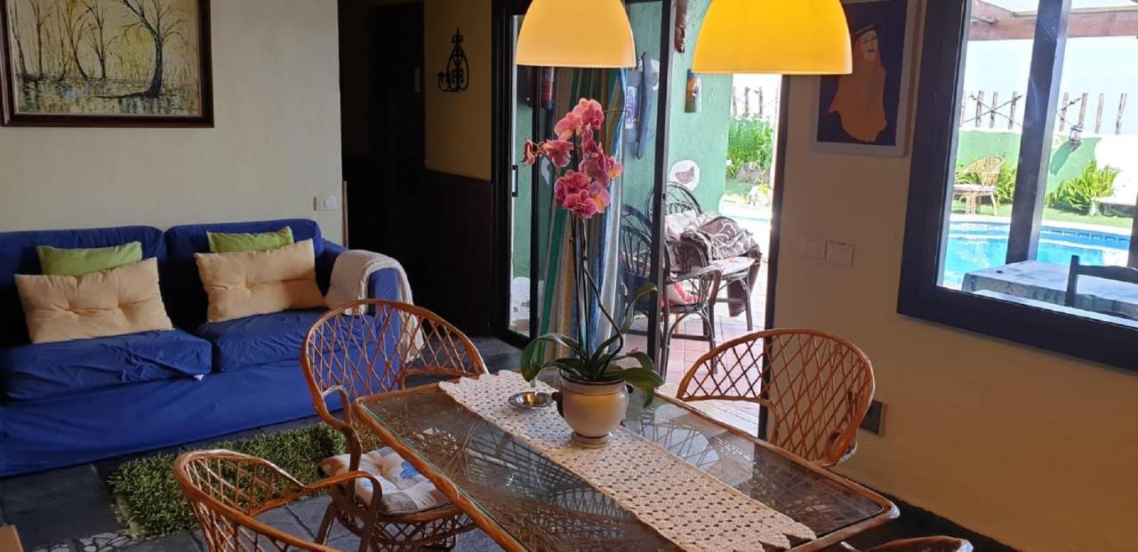 Villa Cateyma Icod 伊科德·德·洛斯·维诺斯 外观 照片