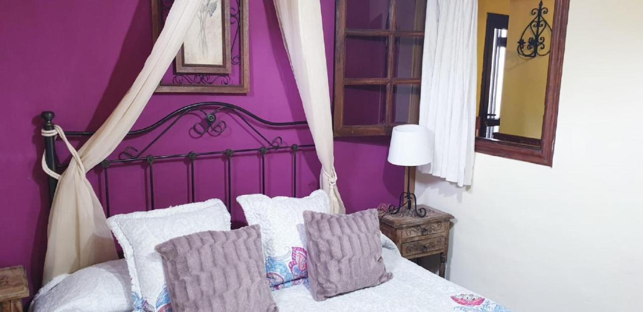 Villa Cateyma Icod 伊科德·德·洛斯·维诺斯 外观 照片
